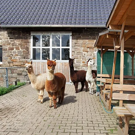 公寓 Auf Dem Ennerthof 阿恩斯贝格