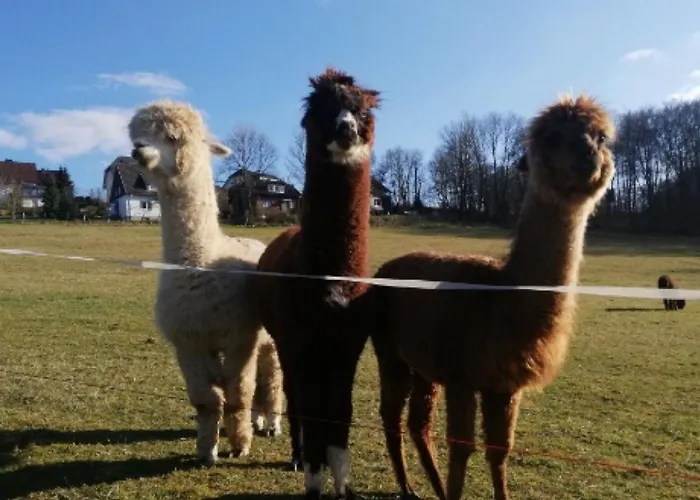 Lejlighed Auf Dem Ennerthof Arnsberg
