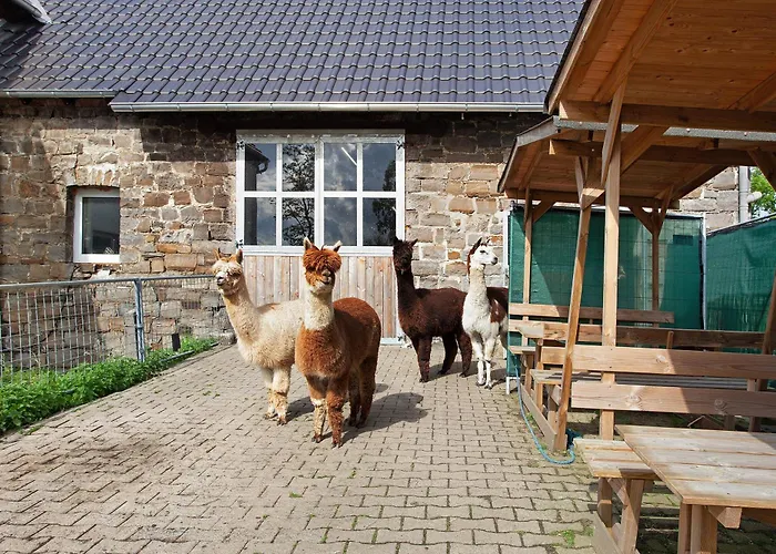 Lejlighed Auf Dem Ennerthof Arnsberg